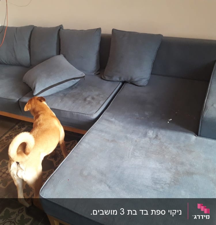 ספה כחולה עם כתמים ולכלוך גלוי